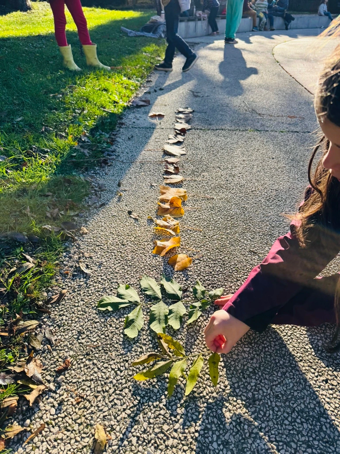 L&rsquo;écocitoyenneté à Schola Natura